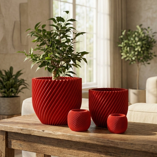 Paseo Bundle M + L & Vela