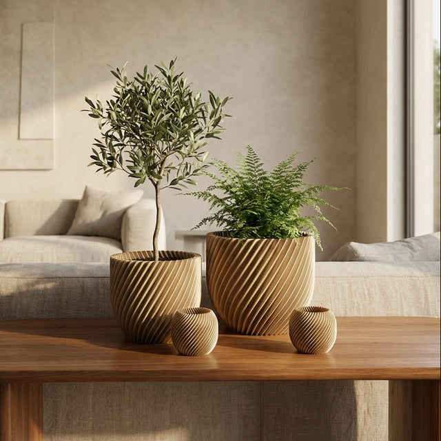 Paseo Bundle M + L & Vela