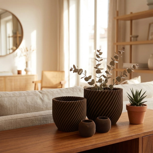 Paseo Bundle M + L & Vela