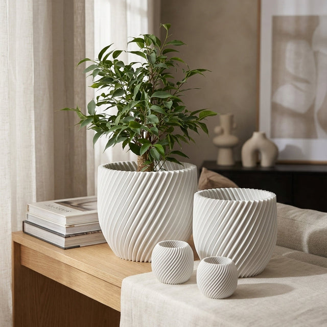 Paseo Bundle M + L & Vela