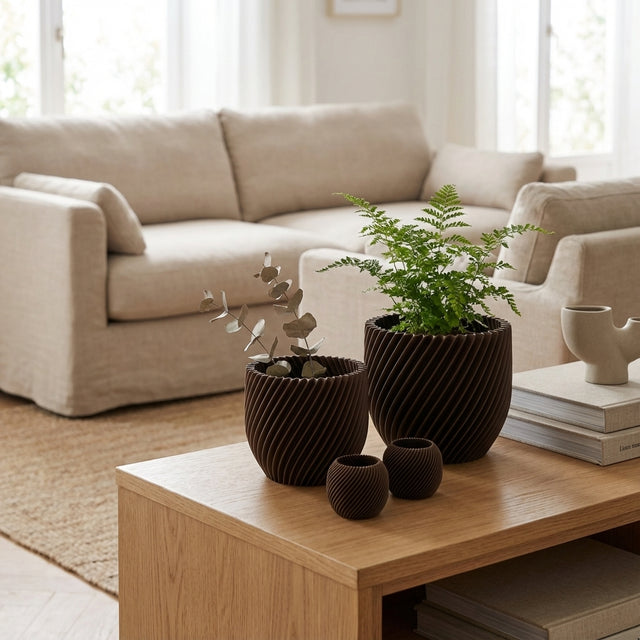 Paseo Bundle M + L & Vela