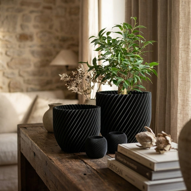 Paseo Bundle M + L & Vela