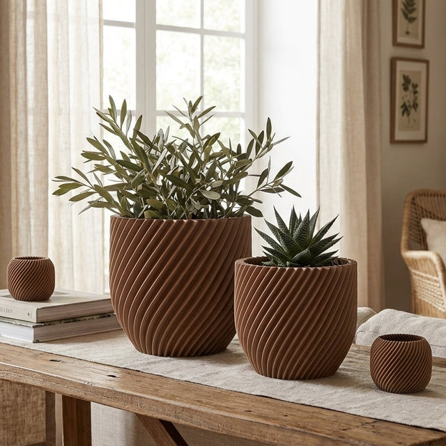 Paseo Bundle M + L & Vela