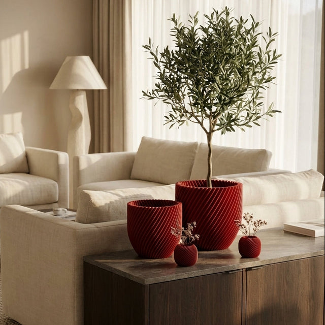 Paseo Bundle M + L & Vela