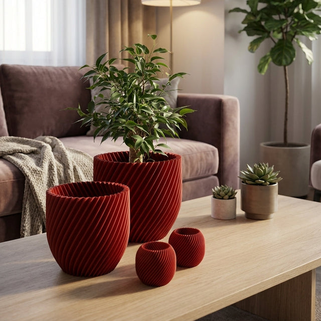 Paseo Bundle M + L & Vela