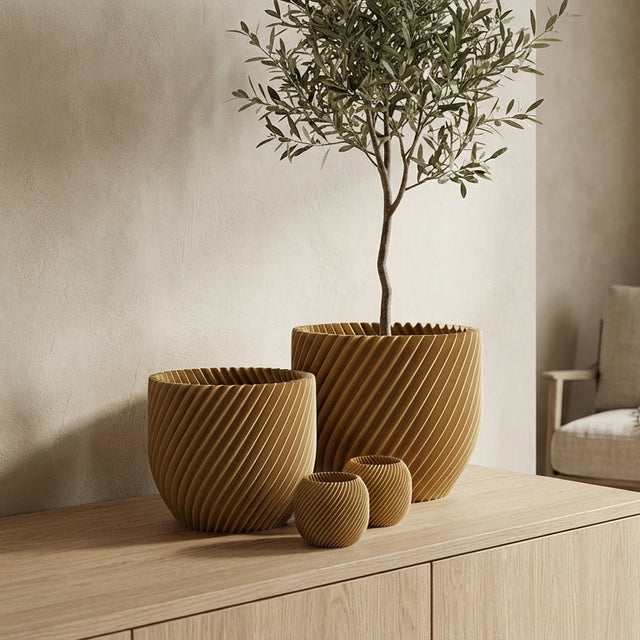 Paseo Bundle M + L & Vela