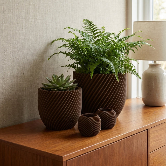 Paseo Bundle M + L & Vela