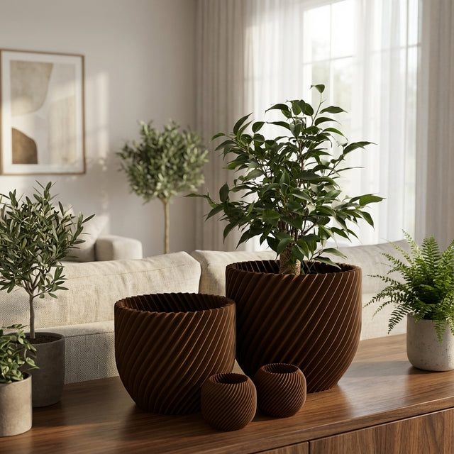 Paseo Bundle M + L & Vela