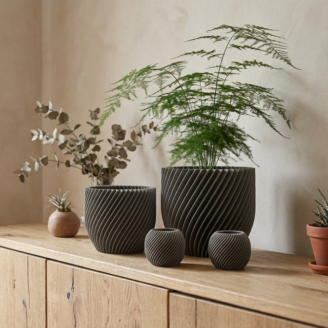 Paseo Bundle M + L & Vela