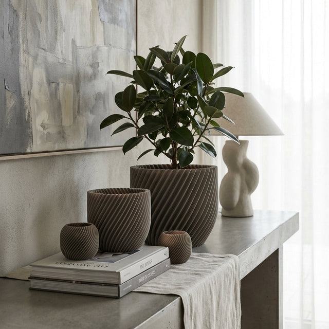 Paseo Bundle M + L & Vela