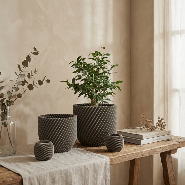 Paseo Bundle M + L & Vela