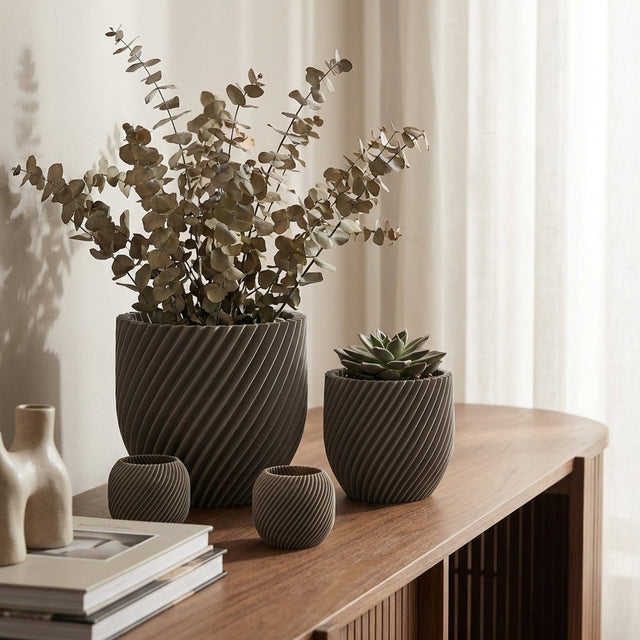 Paseo Bundle M + L & Vela