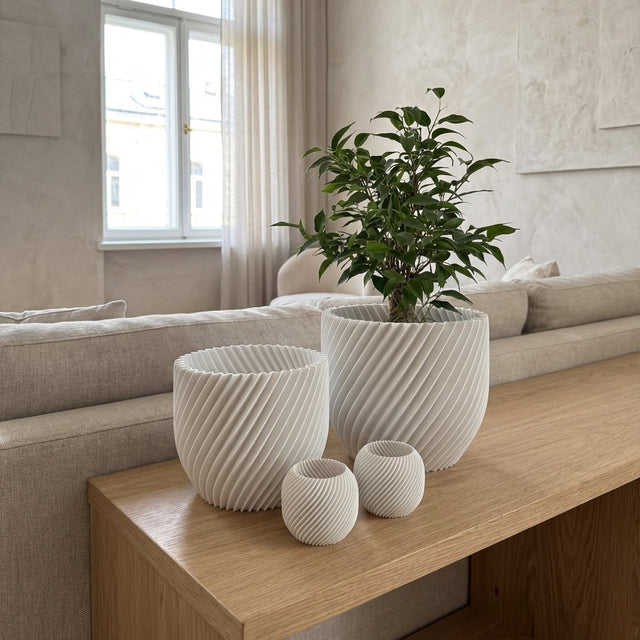 Paseo Bundle M + L & Vela