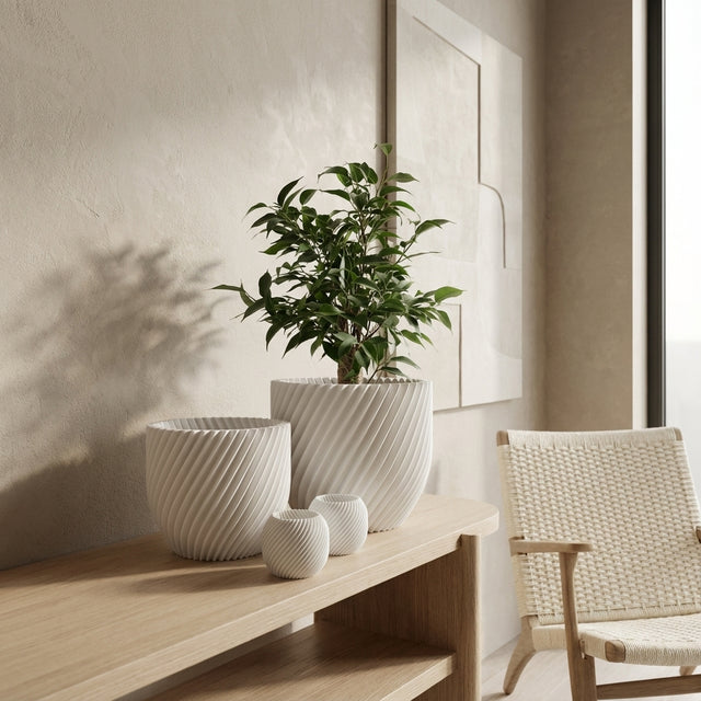 Paseo Bundle M + L & Vela