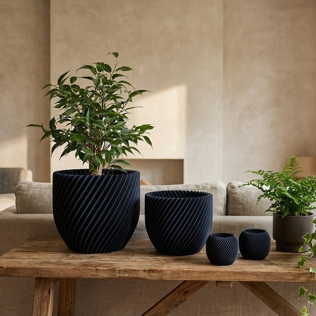 Paseo Bundle M + L & Vela