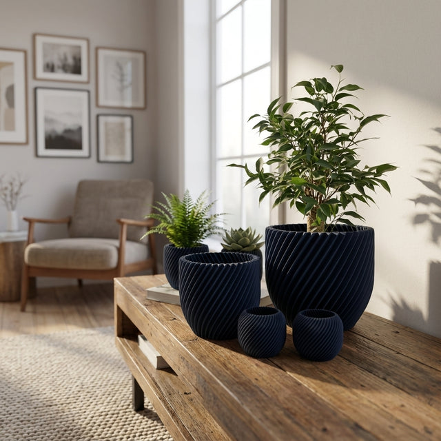 Paseo Bundle M + L & Vela