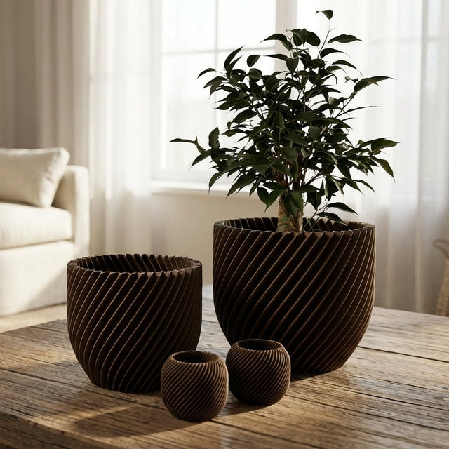 Paseo Bundle M + L & Vela