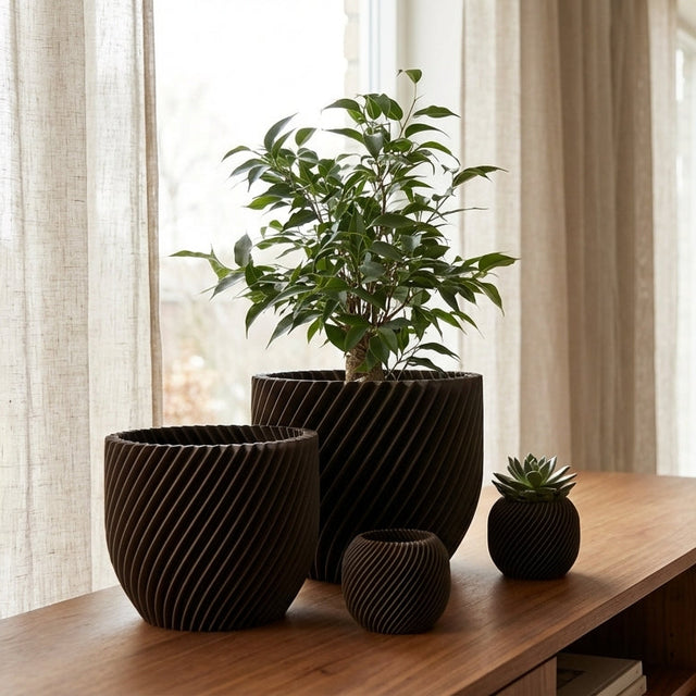 Paseo Bundle M + L & Vela