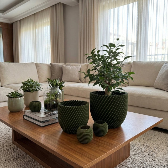 Paseo Bundle M + L & Vela