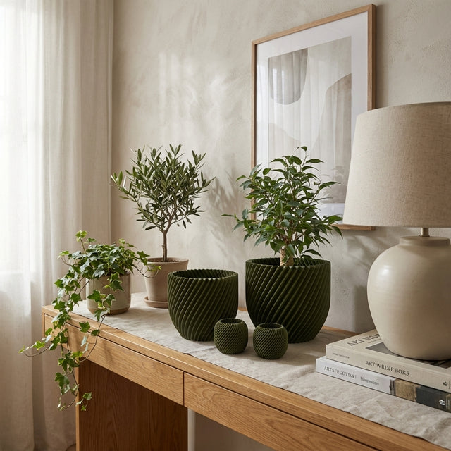 Paseo Bundle M + L & Vela