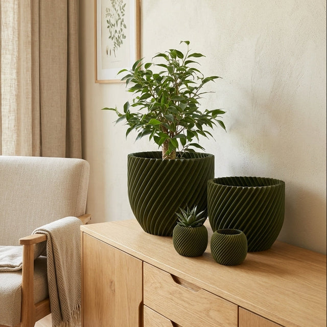 Paseo Bundle M + L & Vela