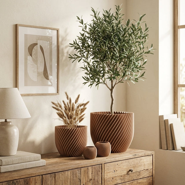 Paseo Bundle M + L & Vela