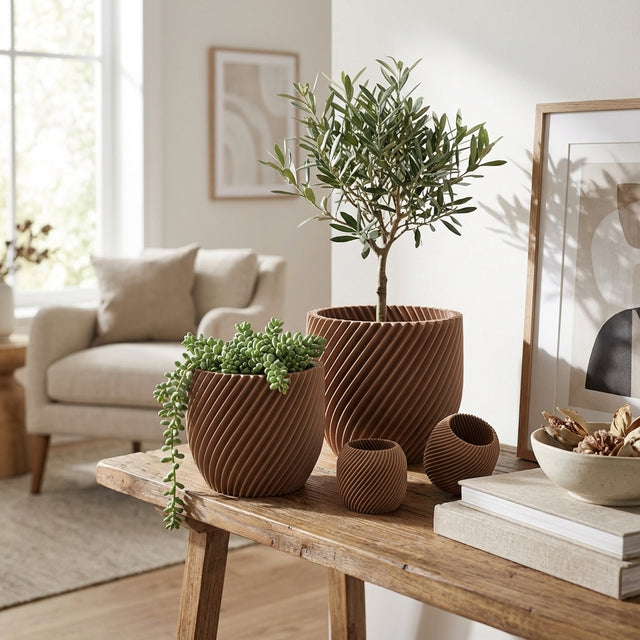 Paseo Bundle M + L & Vela